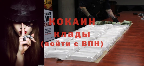 прущие грибы Кулебаки