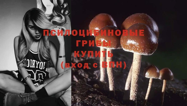 прущие грибы Кулебаки