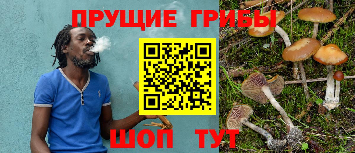 Галлюциногенные грибы Psilocybine cubensis  Псилоцибиновые грибы MAGIC MUSHROOMS  купить наркотик  Мыски  Вход с VPN 