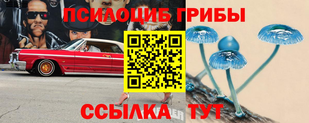 Псилоцибиновые грибы MAGIC MUSHROOMS Мыски
